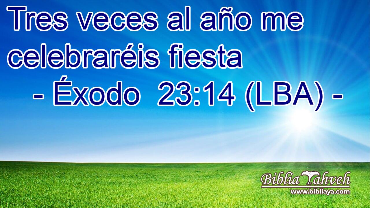 Tres veces al año me celebraréis fiesta