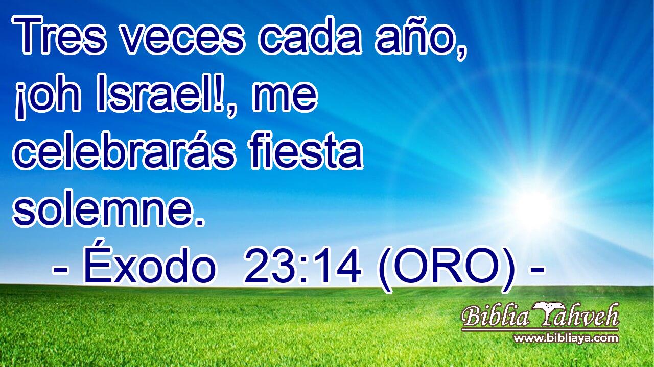  Tres veces cada año, ¡oh Israel!, me celebrarás fiesta solemne. 
