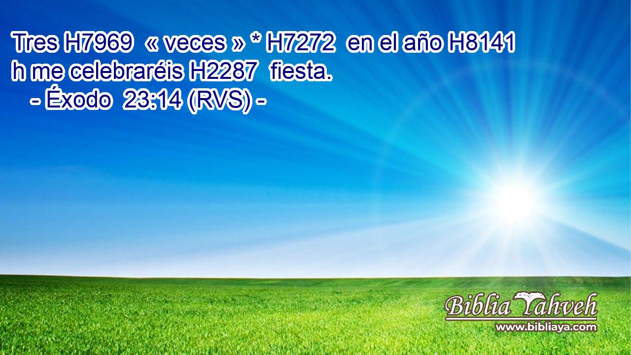 Tres H7969  « veces » * H7272  en el año H8141 h me celebraréis H2287  fiesta. 