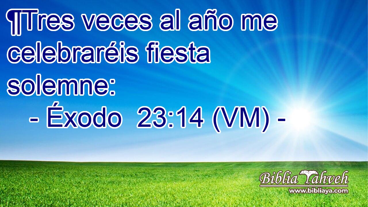  ¶Tres veces al año me celebraréis fiesta solemne: 