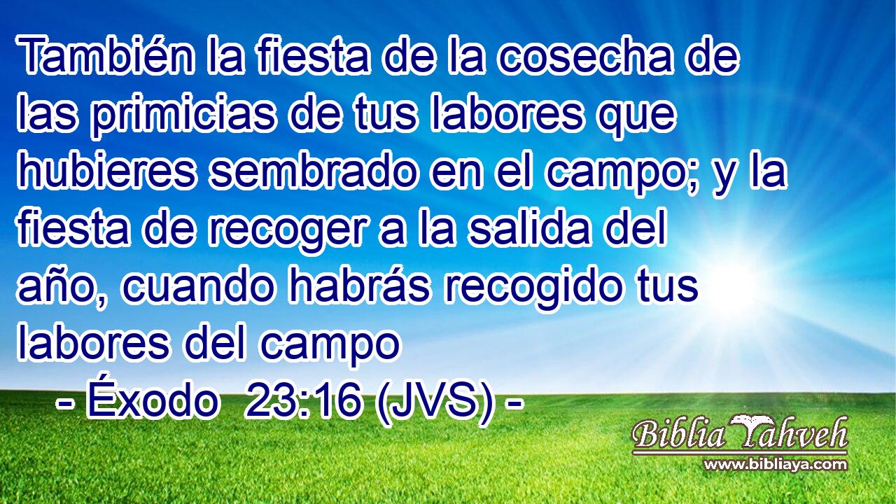 También la fiesta de la cosecha de las primicias de tus labores que hubieres sembrado en el campo; y la fiesta de recoger a la salida del año, cuando habrás recogido tus labores del campo