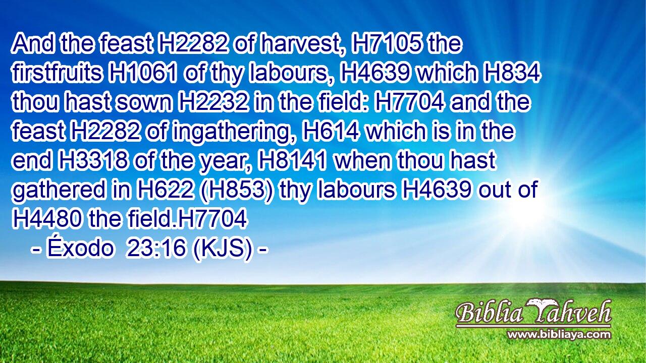 And the feast H2282 of harvest, H7105 the firstfruits H1061 of thy labours, H4639 which H834 thou hast sown H2232 in the field: H7704 and the feast H2282 of ingathering, H614 which is in the end H3318 of the year, H8141 when thou hast gathered in H622 (H853) thy labours H4639 out of H4480 the field.H7704