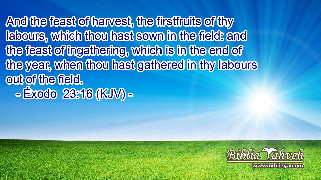 And the feast of harvest, the firstfruits of thy labours, which thou hast sown in the field: and the feast of ingathering, which is in the end of the year, when thou hast gathered in thy labours out of the field.