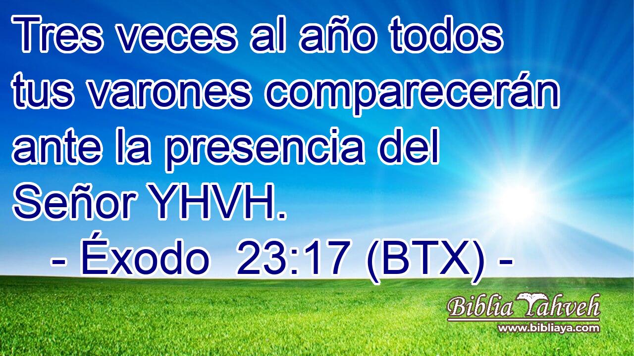 Tres veces al año todos tus varones comparecerán ante la presencia del Señor YHVH.
