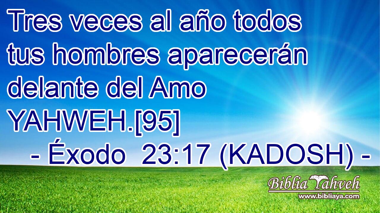  Tres veces al año todos tus hombres aparecerán delante del Amo YAHWEH.[95] 