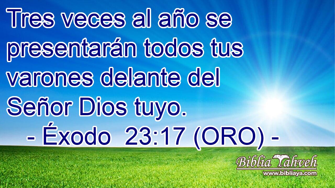  Tres veces al año se presentarán todos tus varones delante del Señor Dios tuyo. 