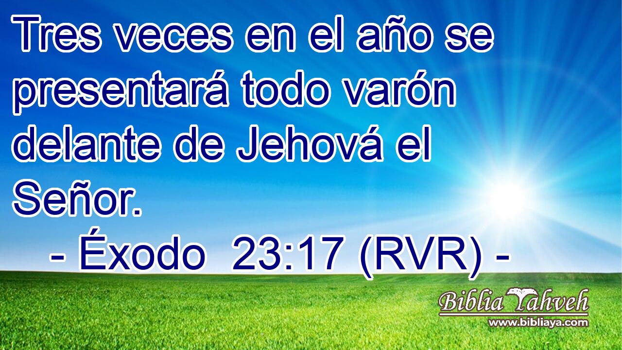 Tres veces en el año se presentará todo varón delante de Jehová el Señor.