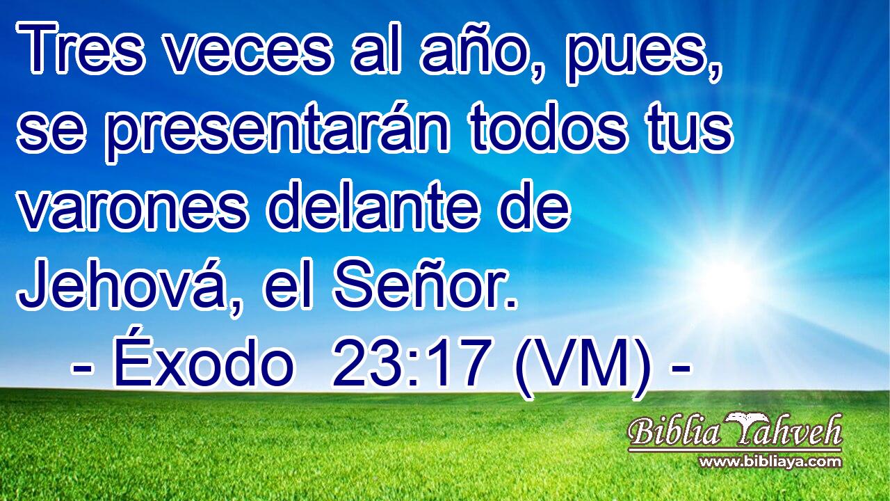  Tres veces al año, pues, se presentarán todos tus varones delante de Jehová, el Señor. 
