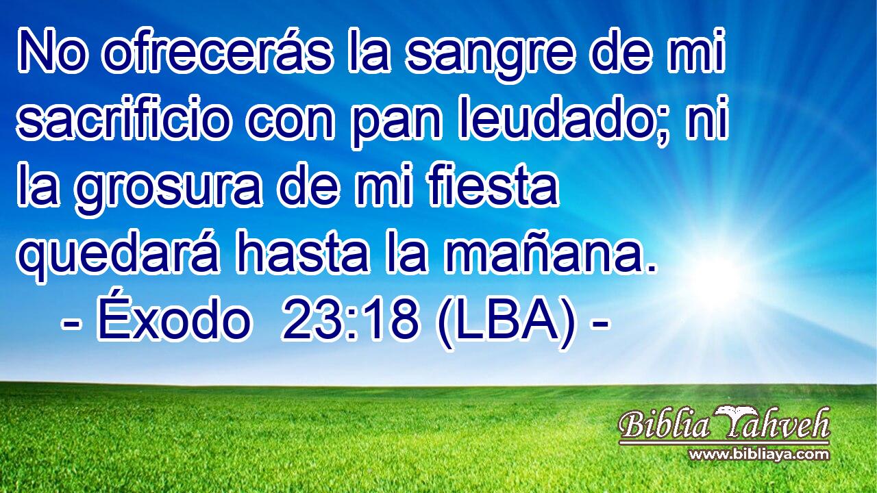 No ofrecerás la sangre de mi sacrificio con pan leudado; ni la grosura de mi fiesta quedará hasta la mañana.