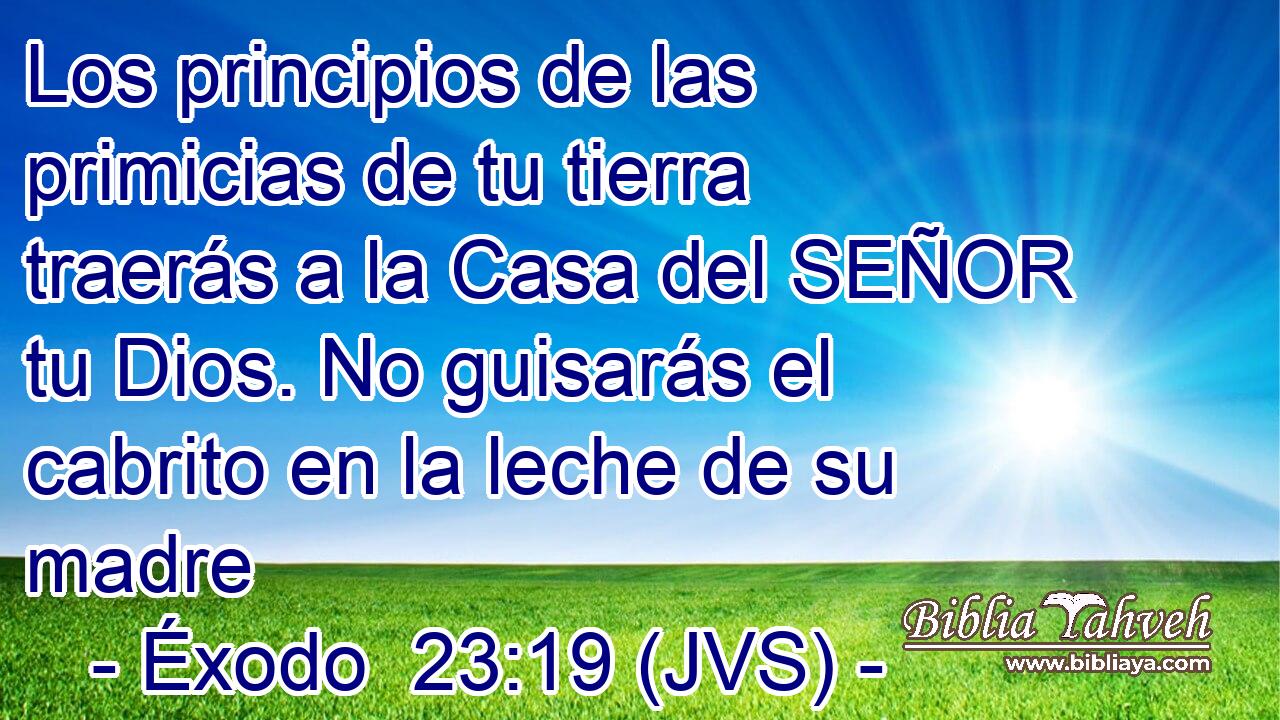 Los principios de las primicias de tu tierra traerás a la Casa del SEÑOR tu Dios. No guisarás el cabrito en la leche de su madre