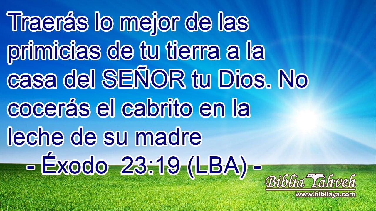 Traerás lo mejor de las primicias de tu tierra a la casa del SEÑOR tu Dios. No cocerás el cabrito en la leche de su madre