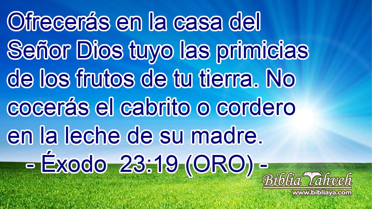  Ofrecerás en la casa del Señor Dios tuyo las primicias de los frutos de tu tierra. No cocerás el cabrito o cordero en la leche de su madre. 