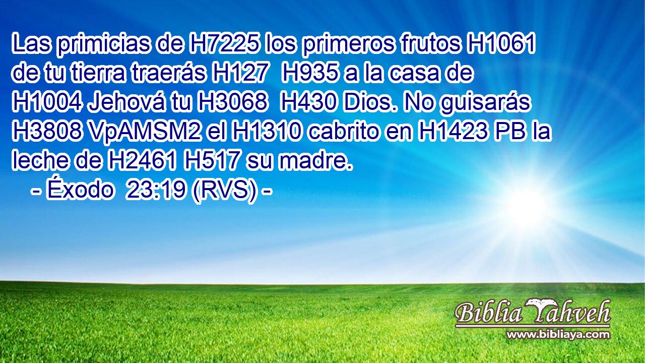 Las primicias de H7225 los primeros frutos H1061 de tu tierra traerás H127  H935 a la casa de H1004 Jehová tu H3068  H430 Dios. No guisarás H3808 VpAMSM2 el H1310 cabrito en H1423 PB la leche de H2461 H517 su madre. 