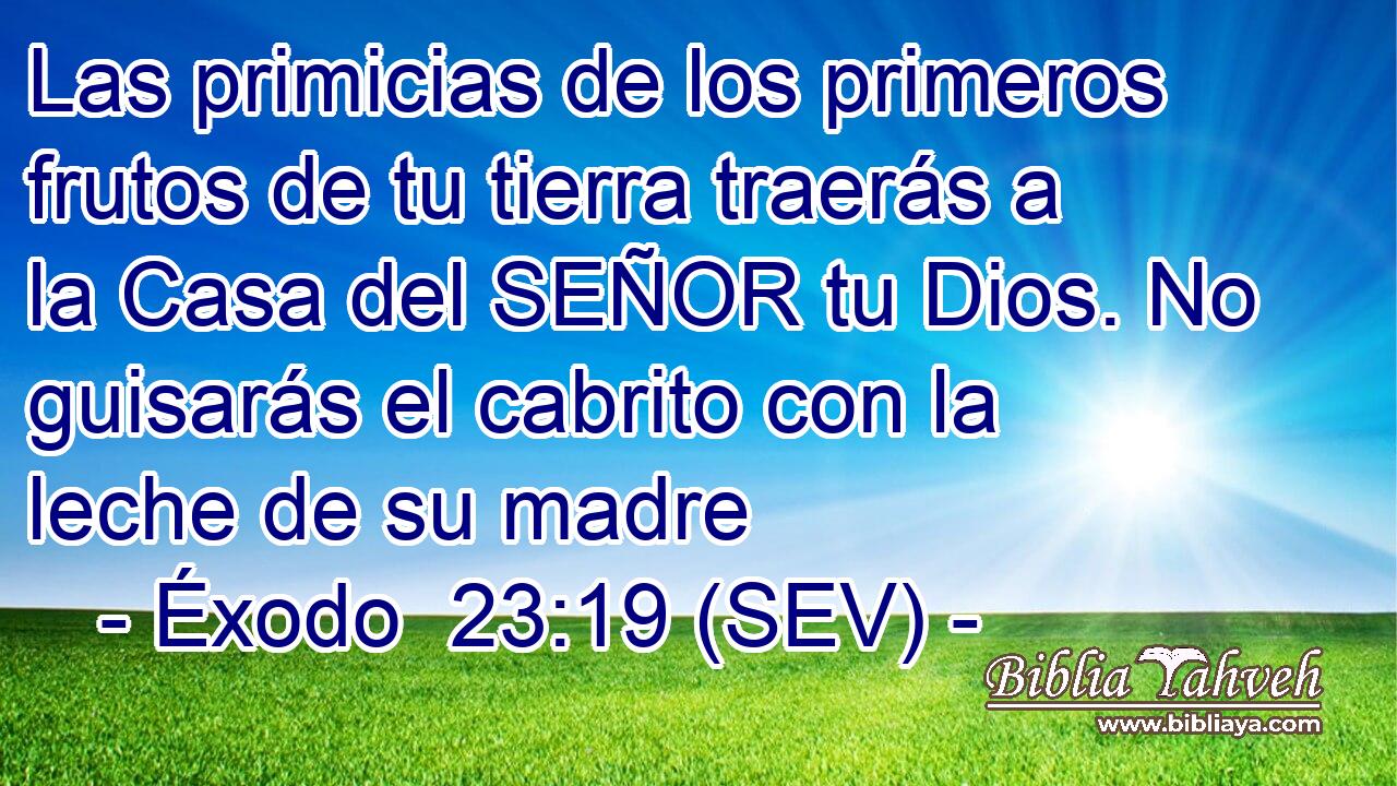 Las primicias de los primeros frutos de tu tierra traerás a la Casa del SEÑOR tu Dios. No guisarás el cabrito con la leche de su madre