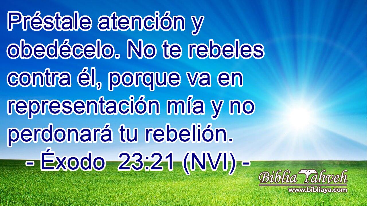  Préstale atención y obedécelo. No te rebeles contra él, porque va en representación mía y no perdonará tu rebelión. 