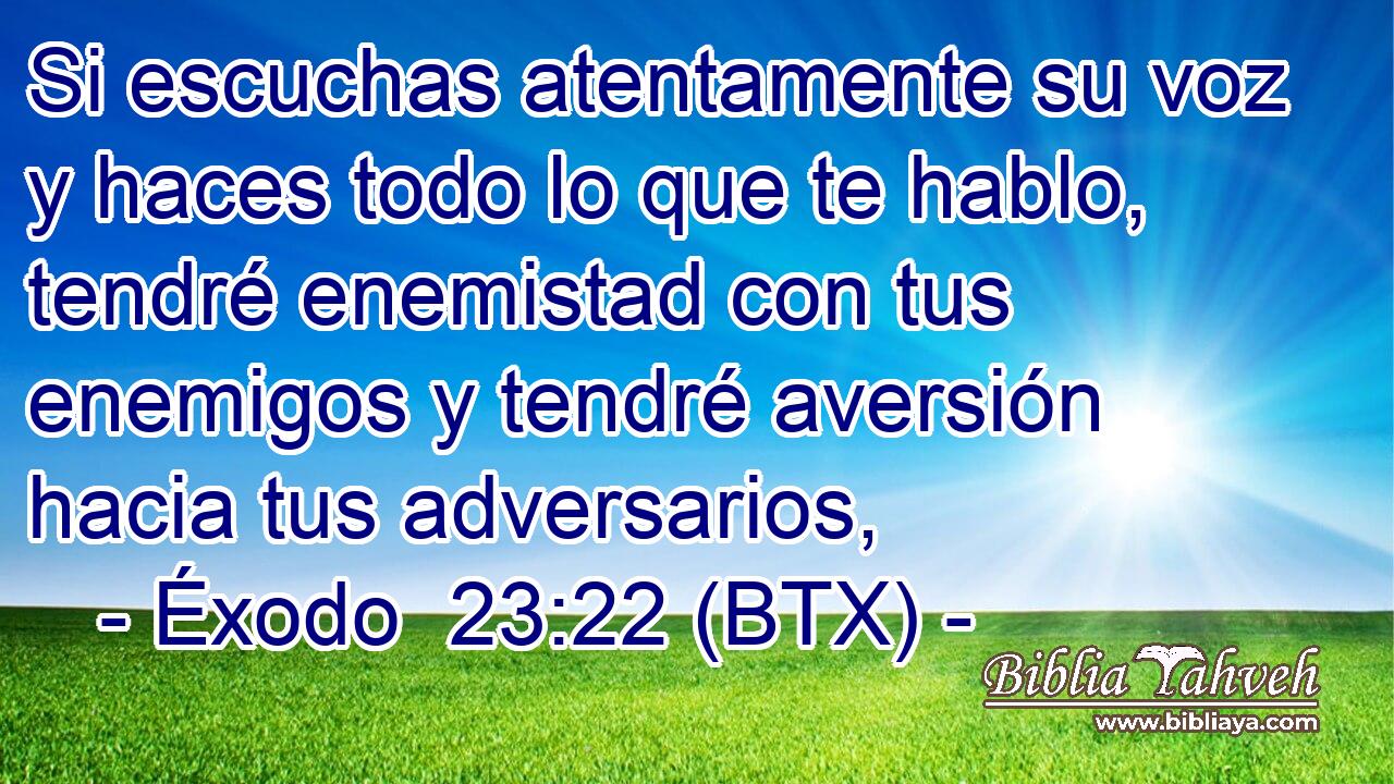 Si escuchas atentamente su voz y haces todo lo que te hablo, tendré enemistad con tus enemigos y tendré aversión hacia tus adversarios,