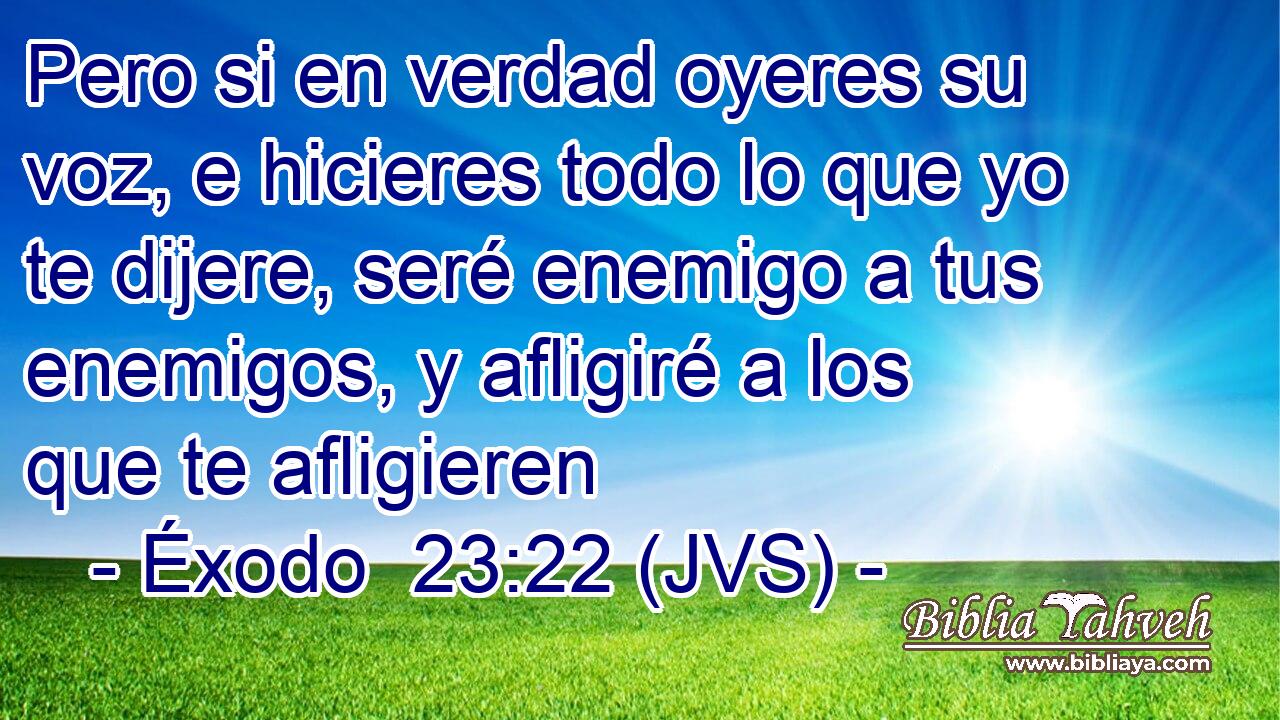 Pero si en verdad oyeres su voz, e hicieres todo lo que yo te dijere, seré enemigo a tus enemigos, y afligiré a los que te afligieren