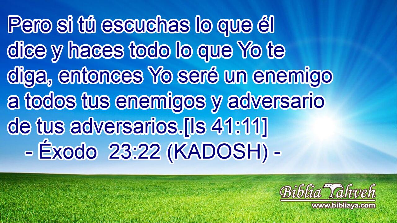  Pero si tú escuchas lo que él dice y haces todo lo que Yo te diga, entonces Yo seré un enemigo a todos tus enemigos y adversario de tus adversarios.[Is 41:11] 