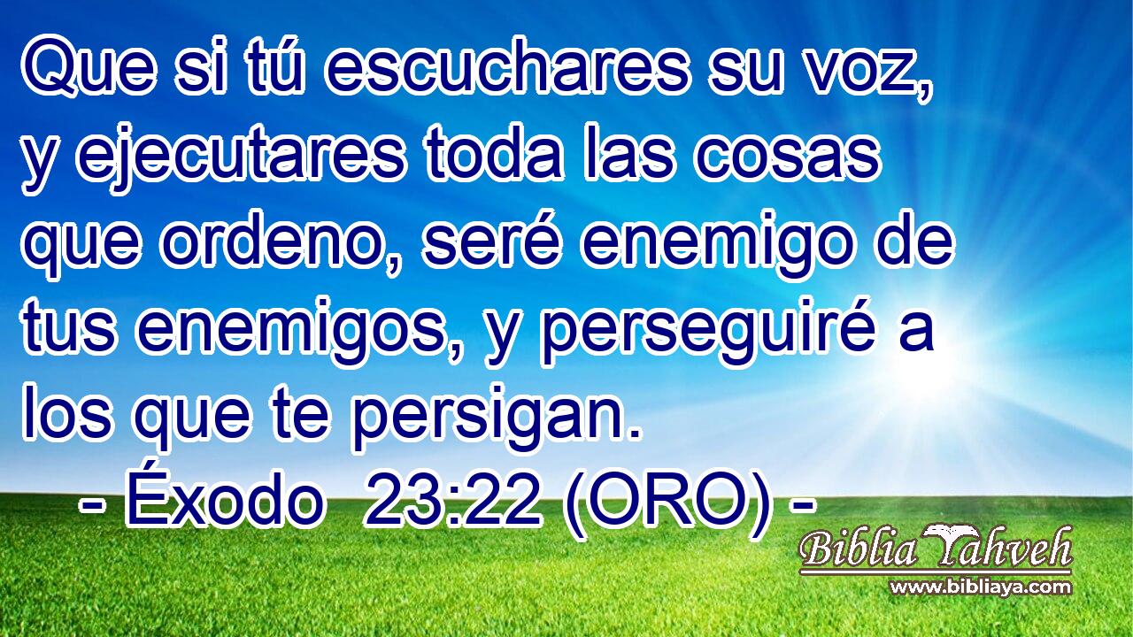  Que si tú escuchares su voz, y ejecutares toda las cosas que ordeno, seré enemigo de tus enemigos, y perseguiré a los que te persigan. 