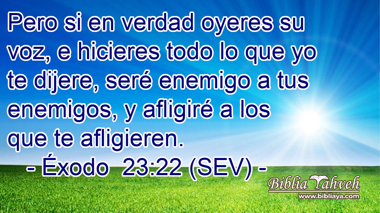 Pero si en verdad oyeres su voz, e hicieres todo lo que yo te dijere, seré enemigo a tus enemigos, y afligiré a los que te afligieren.