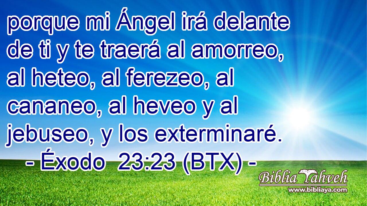 porque mi Ángel irá delante de ti y te traerá al amorreo, al heteo, al ferezeo, al cananeo, al heveo y al jebuseo, y los exterminaré.