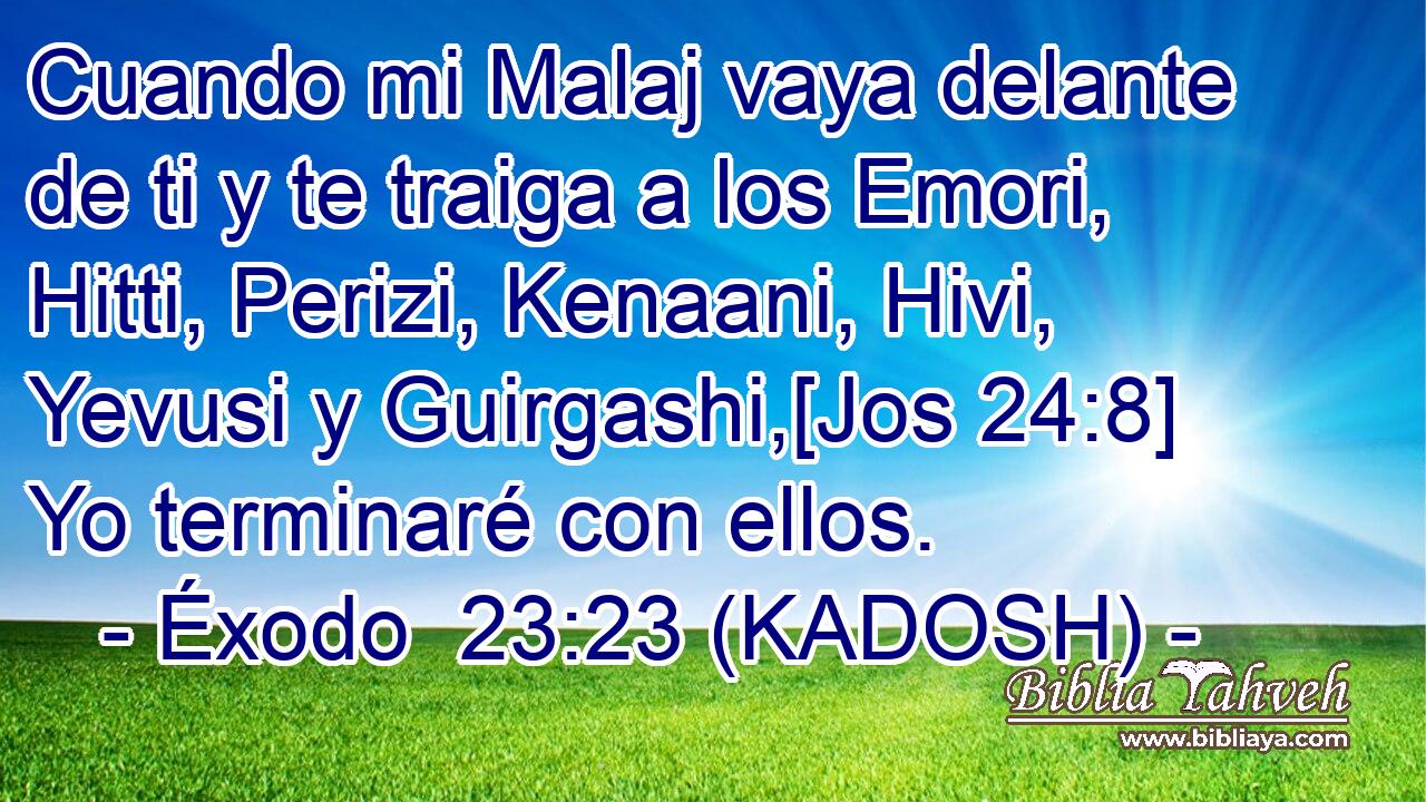  Cuando mi Malaj vaya delante de ti y te traiga a los Emori, Hitti, Perizi, Kenaani, Hivi, Yevusi y Guirgashi,[Jos 24:8] Yo terminaré con ellos. 