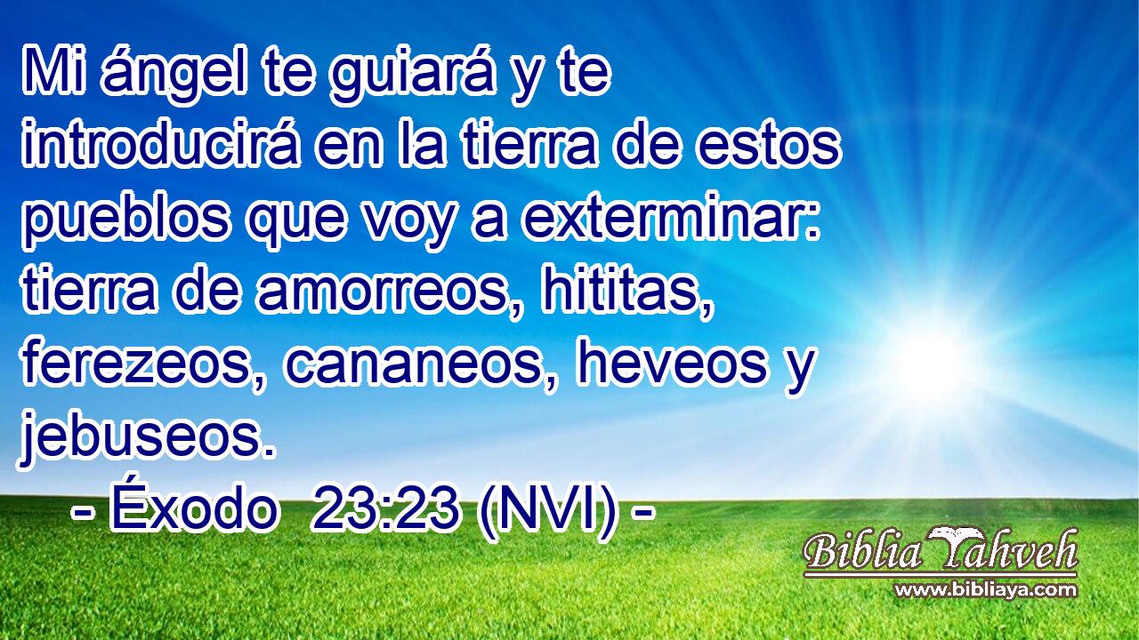  Mi ángel te guiará y te introducirá en la tierra de estos pueblos que voy a exterminar: tierra de amorreos, hititas, ferezeos, cananeos, heveos y jebuseos. 