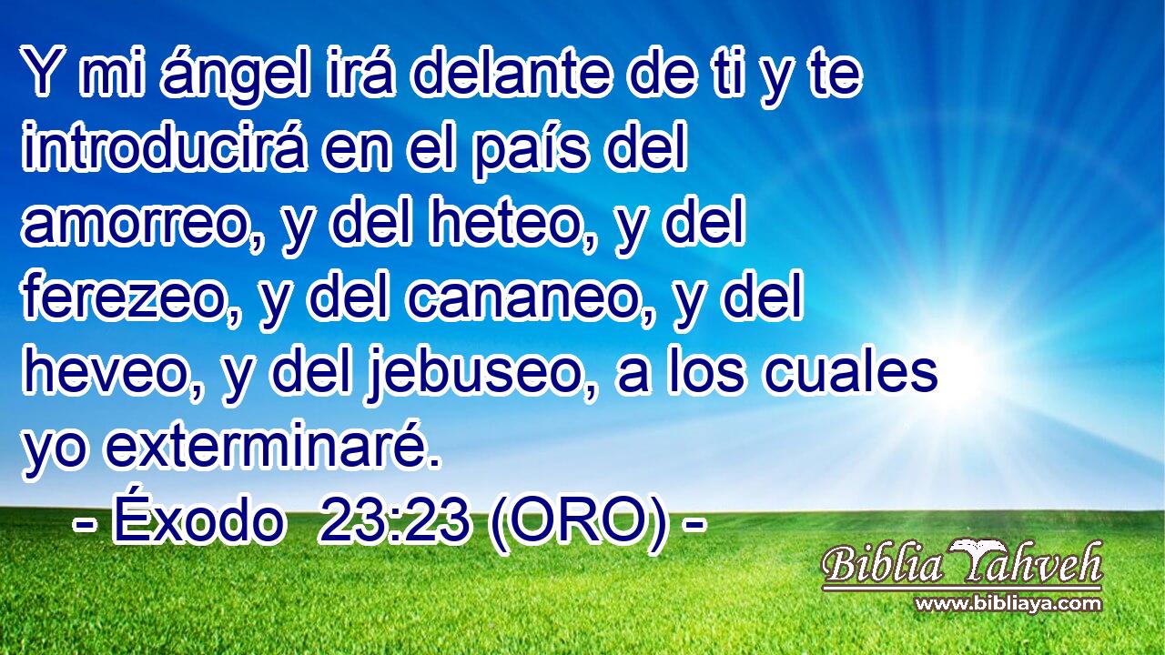  Y mi ángel irá delante de ti y te introducirá en el país del amorreo, y del heteo, y del ferezeo, y del cananeo, y del heveo, y del jebuseo, a los cuales yo exterminaré. 
