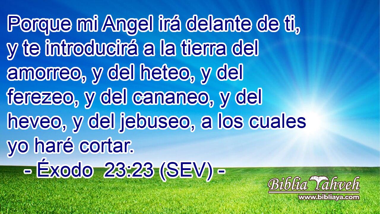 Porque mi Angel irá delante de ti, y te introducirá a la tierra del amorreo, y del heteo, y del ferezeo, y del cananeo, y del heveo, y del jebuseo, a los cuales yo haré cortar.