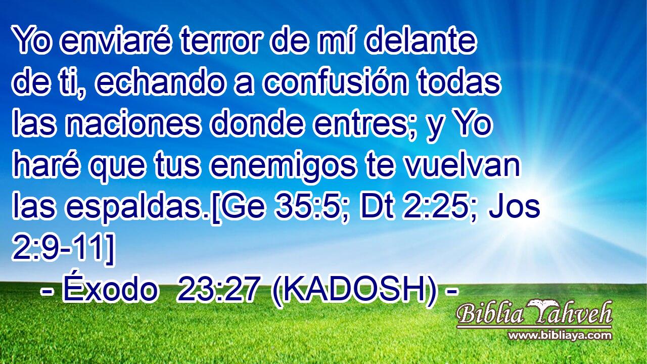  Yo enviaré terror de mí delante de ti, echando a confusión todas las naciones donde entres; y Yo haré que tus enemigos te vuelvan las espaldas.[Ge 35:5; Dt 2:25; Jos 2:9-11] 
