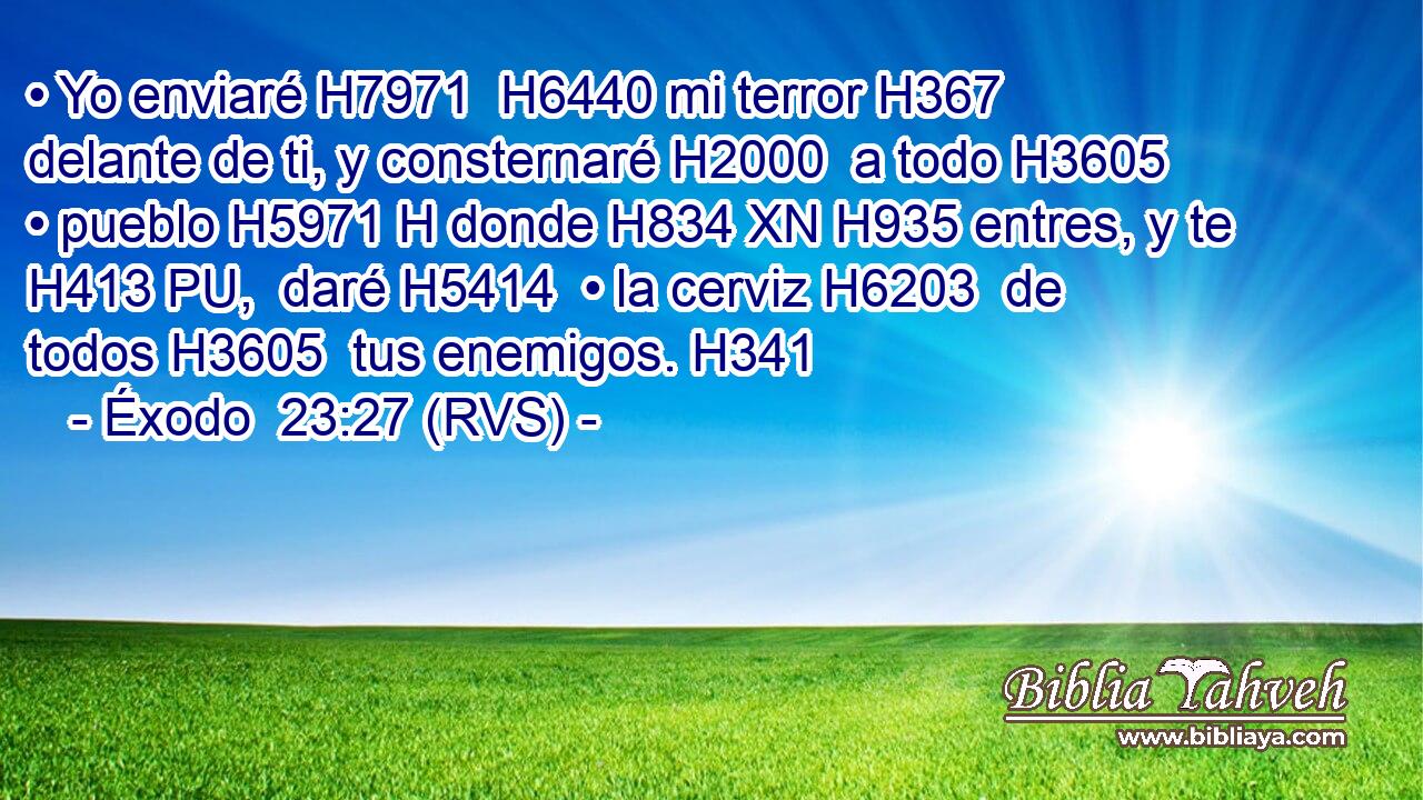 • Yo enviaré H7971  H6440 mi terror H367  delante de ti, y consternaré H2000  a todo H3605  • pueblo H5971 H donde H834 XN H935 entres, y te H413 PU,  daré H5414  • la cerviz H6203  de todos H3605  tus enemigos. H341  