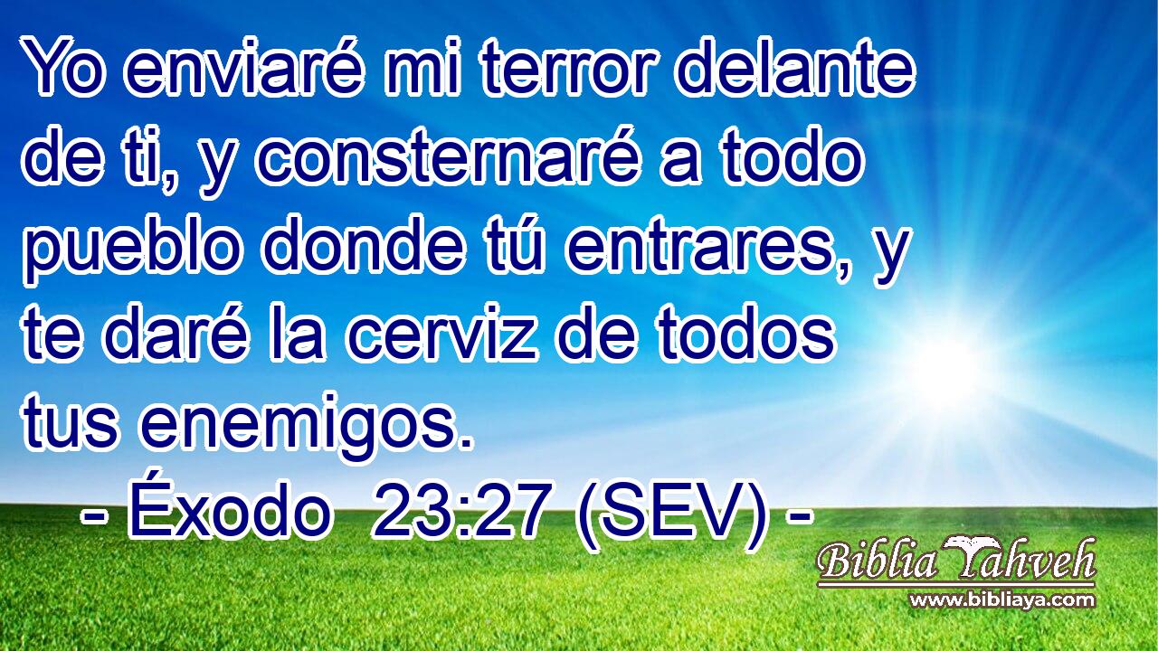 Yo enviaré mi terror delante de ti, y consternaré a todo pueblo donde tú entrares, y te daré la cerviz de todos tus enemigos.