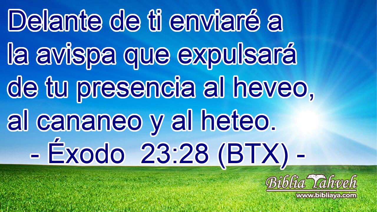 Delante de ti enviaré a la avispa que expulsará de tu presencia al heveo, al cananeo y al heteo.