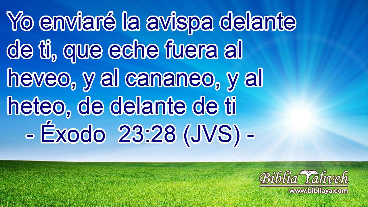 Yo enviaré la avispa delante de ti, que eche fuera al heveo, y al cananeo, y al heteo, de delante de ti
