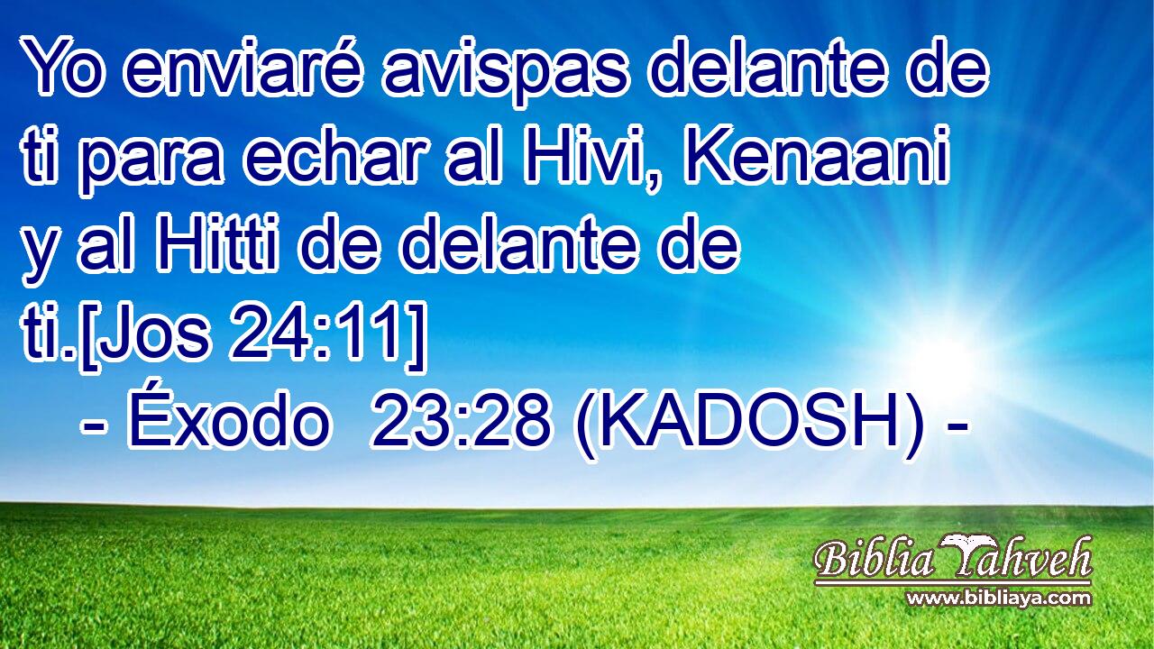  Yo enviaré avispas delante de ti para echar al Hivi, Kenaani y al Hitti de delante de ti.[Jos 24:11] 