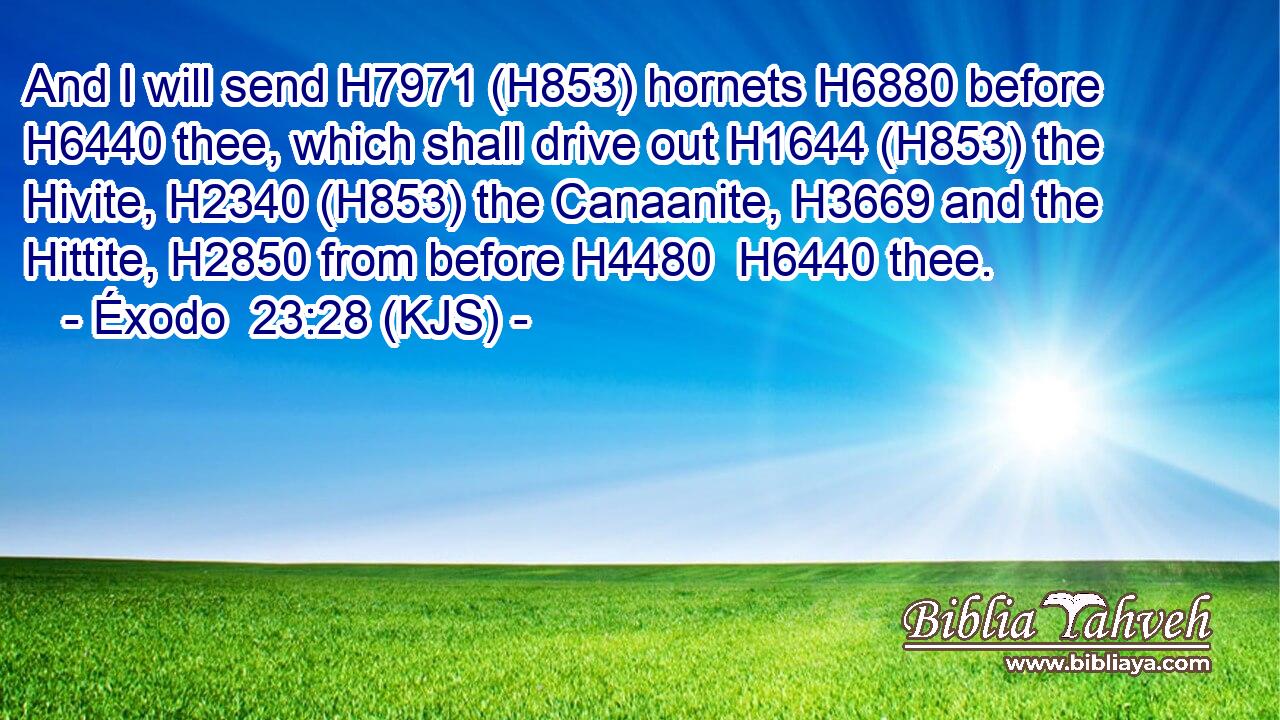And I will send H7971 (H853) hornets H6880 before H6440 thee, which shall drive out H1644 (H853) the Hivite, H2340 (H853) the Canaanite, H3669 and the Hittite, H2850 from before H4480  H6440 thee.