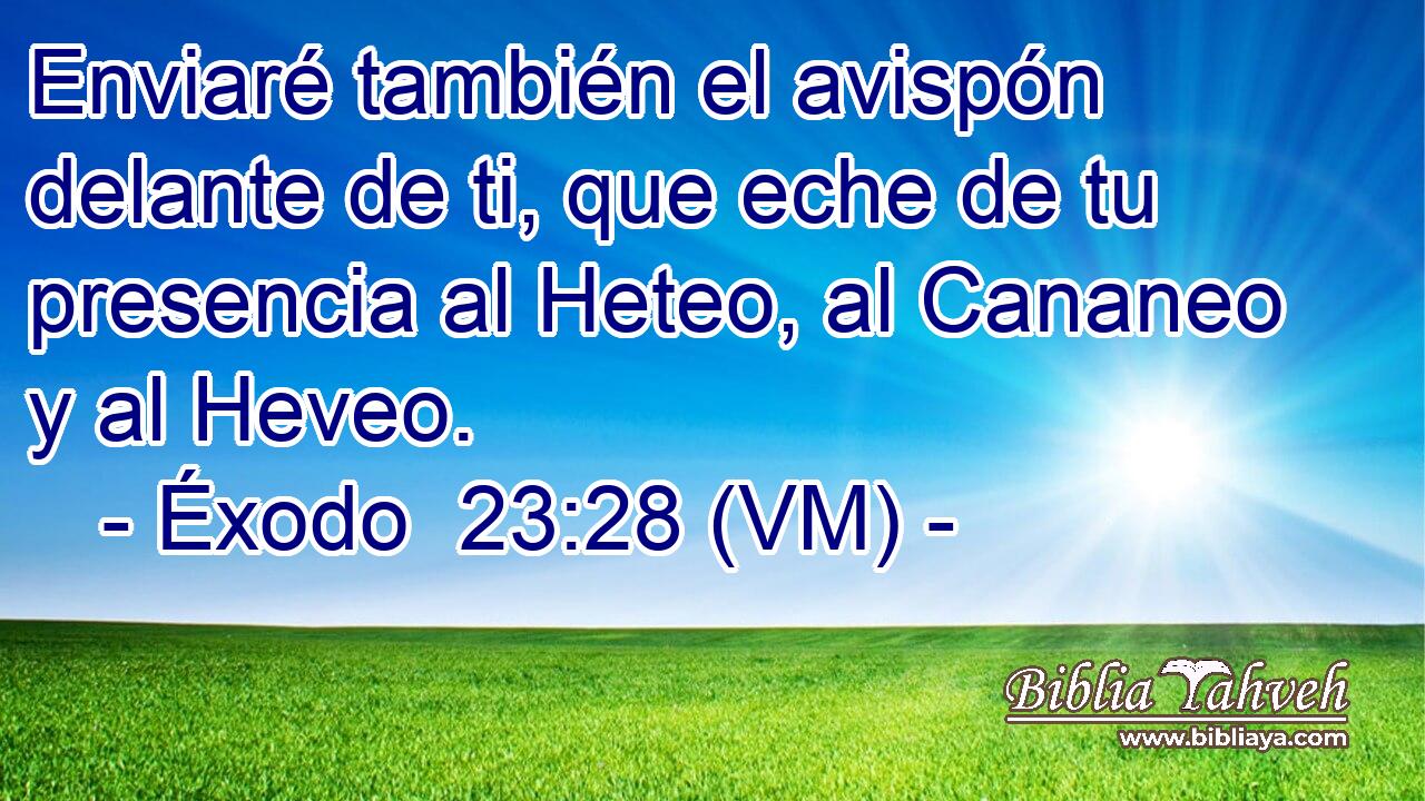  Enviaré también el avispón delante de ti, que eche de tu presencia al Heteo, al Cananeo y al Heveo. 