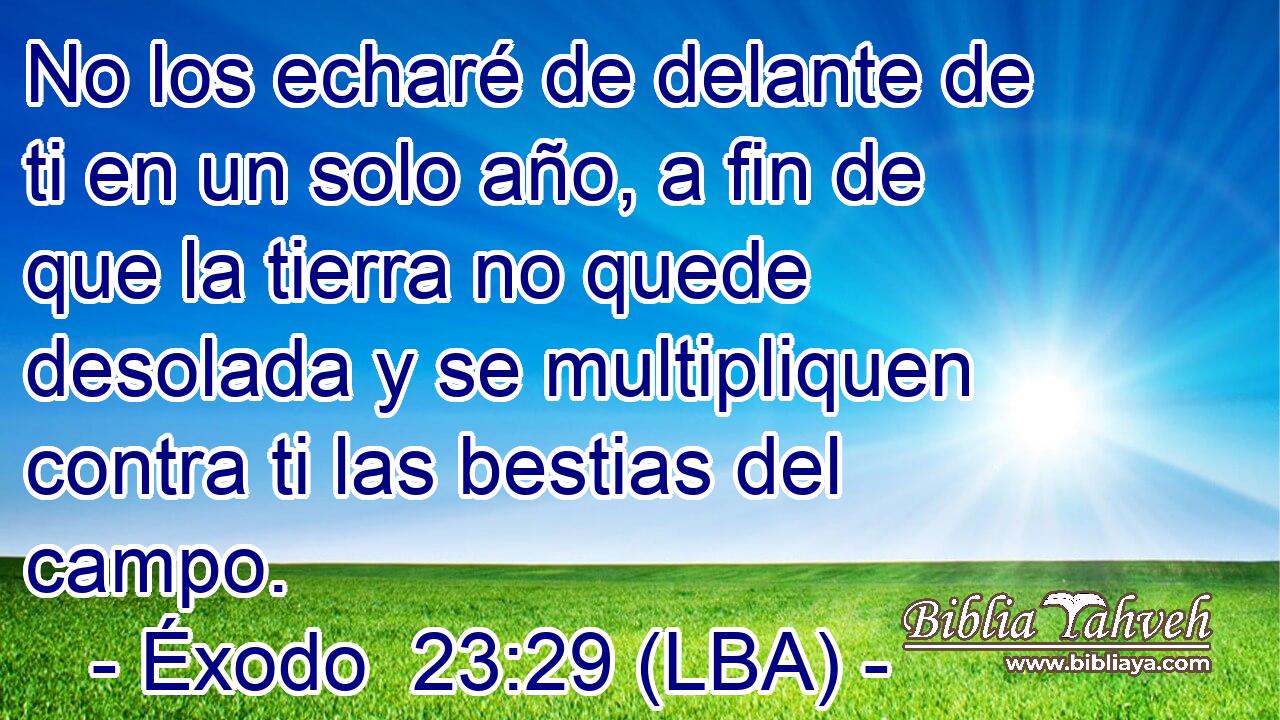 No los echaré de delante de ti en un solo año, a fin de que la tierra no quede desolada y se multipliquen contra ti las bestias del campo.