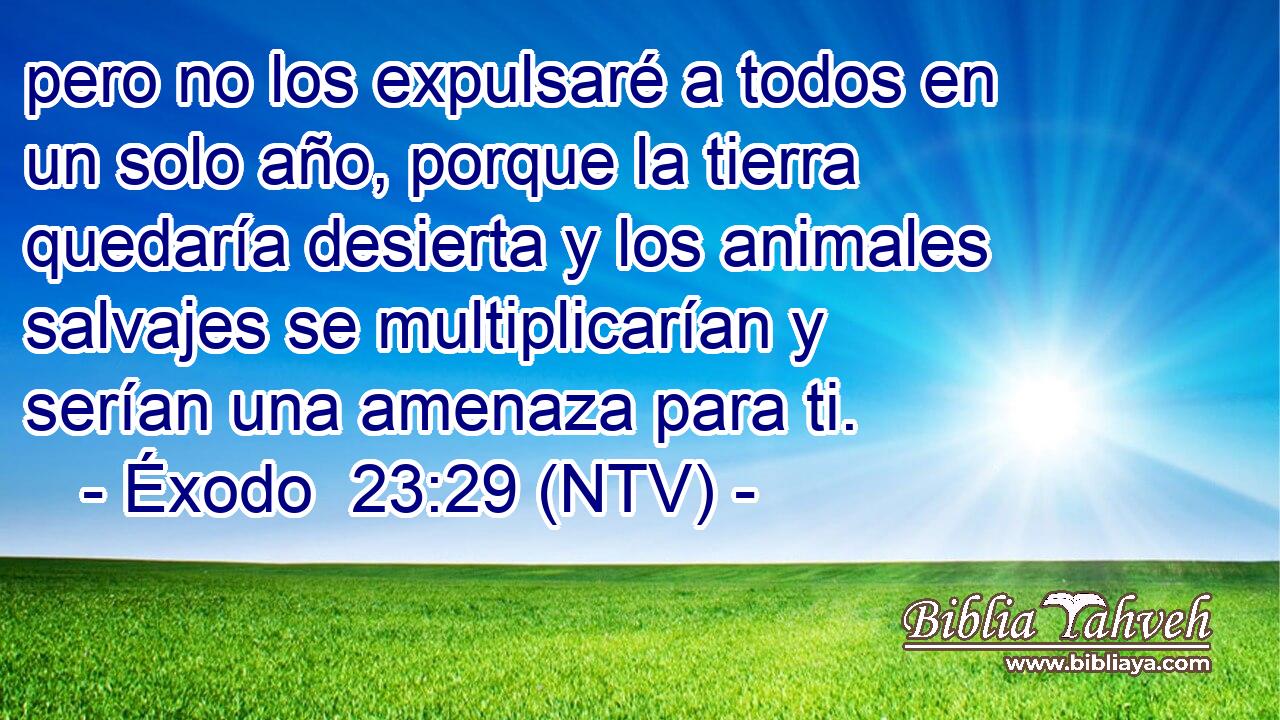 pero no los expulsaré a todos en un solo año, porque la tierra quedaría desierta y los animales salvajes se multiplicarían y serían una amenaza para ti.