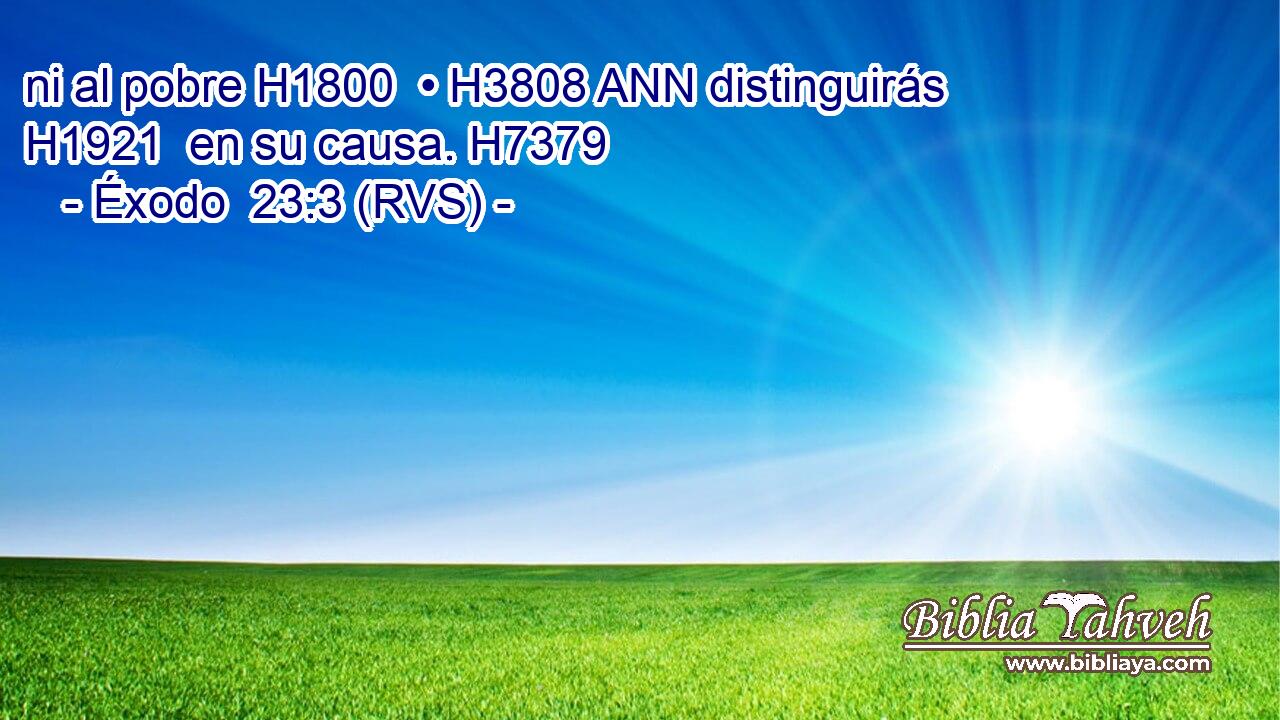 ni al pobre H1800  • H3808 ANN distinguirás H1921  en su causa. H7379  