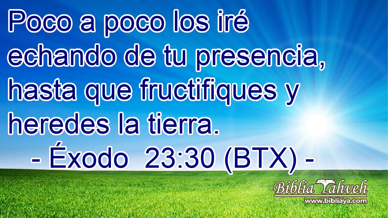 Poco a poco los iré echando de tu presencia, hasta que fructifiques y heredes la tierra.