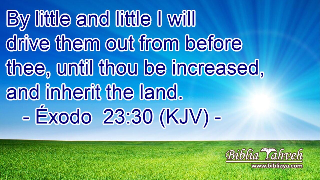 By little and little I will drive them out from before thee, until thou be increased, and inherit the land.