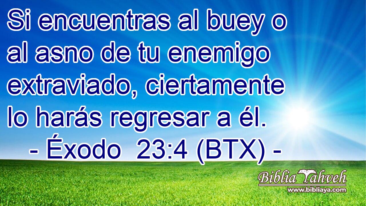 Si encuentras al buey o al asno de tu enemigo extraviado, ciertamente lo harás regresar a él.