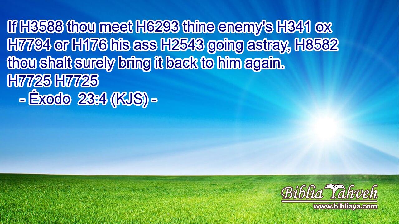 If H3588 thou meet H6293 thine enemy's H341 ox H7794 or H176 his ass H2543 going astray, H8582 thou shalt surely bring it back to him again. H7725 H7725