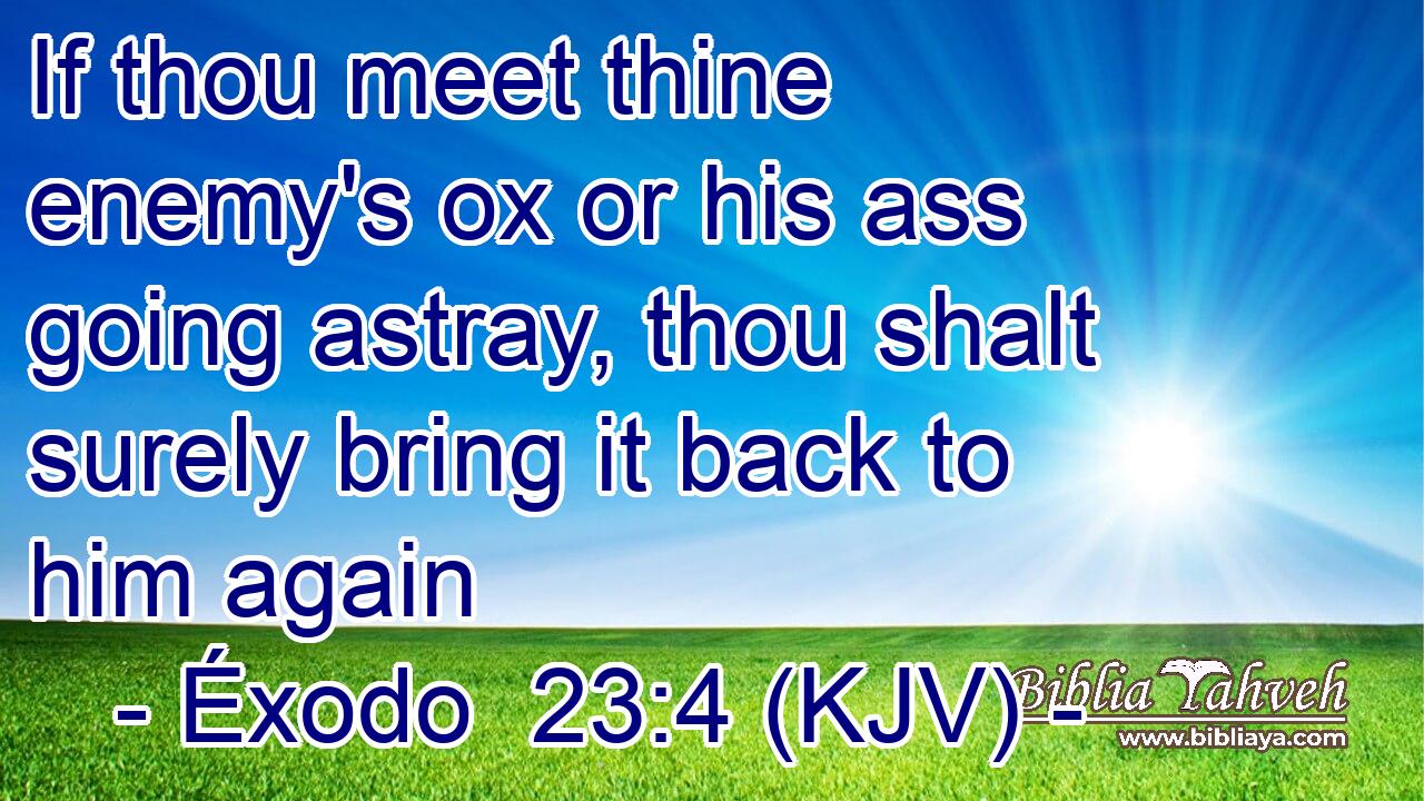 If thou meet thine enemy's ox or his ass going astray, thou shalt surely bring it back to him again