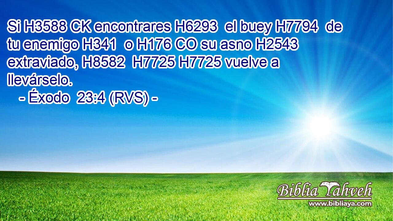 Si H3588 CK encontrares H6293  el buey H7794  de tu enemigo H341  o H176 CO su asno H2543  extraviado, H8582  H7725 H7725 vuelve a llevárselo. 
