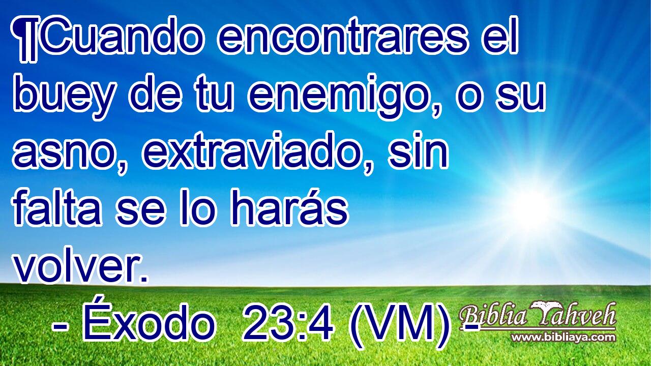  ¶Cuando encontrares el buey de tu enemigo, o su asno, extraviado, sin falta se lo harás volver. 