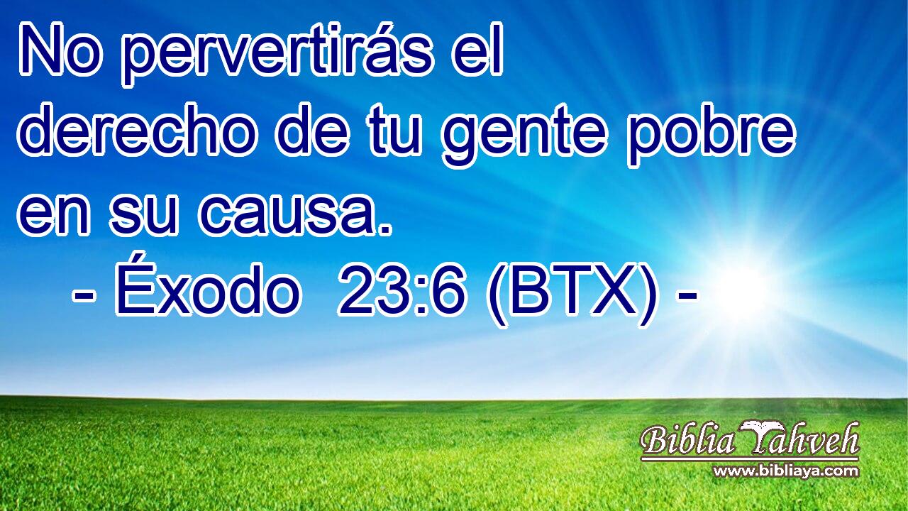 No pervertirás el derecho de tu gente pobre en su causa.