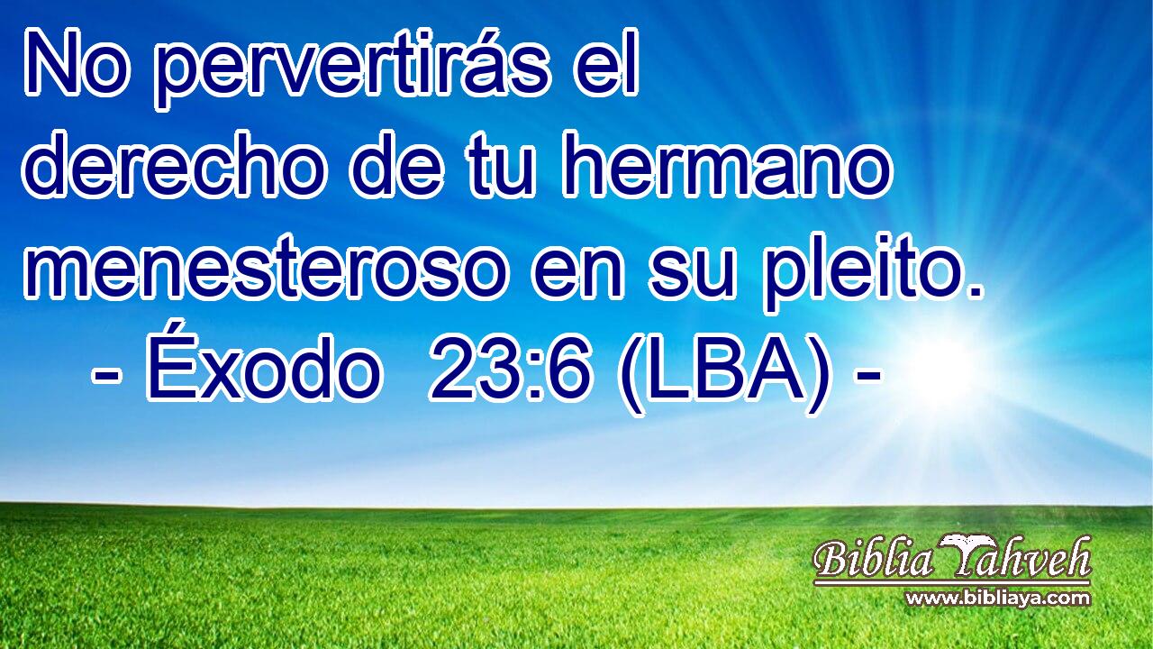 No pervertirás el derecho de tu hermano menesteroso en su pleito.