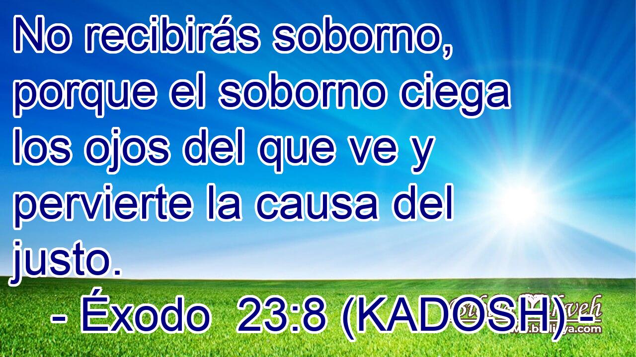  No recibirás soborno, porque el soborno ciega los ojos del que ve y pervierte la causa del justo. 